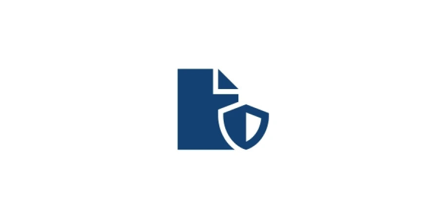 Data security icon
